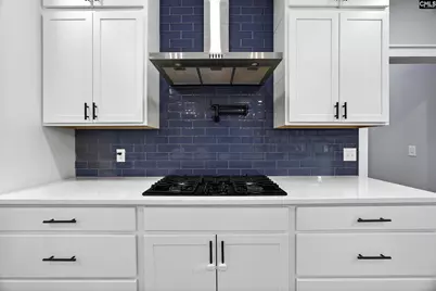 154 Pebblebranch Drive, Chapin, SC 29036 - Photo 12