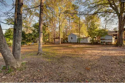 207 Maid Stone, Irmo, SC 29063 - Photo 12