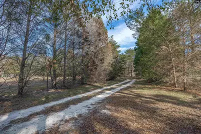 351 Adams Road, Blythewood, SC 29016 - Photo 10