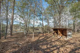 351 Adams Rd, Blythewood, SC 29016 - Photo 16