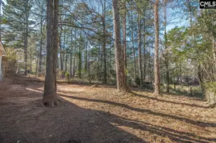 321 Stanford St, Columbia, SC 29203 - Photo 32