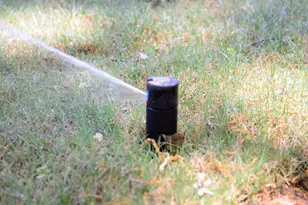 323 Conductor Ln Lot 26, Irmo, SC 29063 - Photo 32