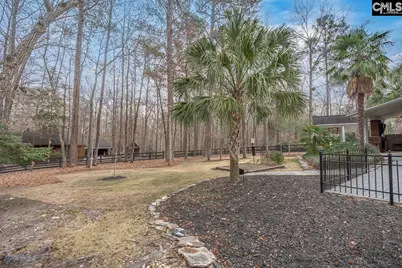 113 Soft Stone Drive, Blythewood, SC 29016 - Photo 52