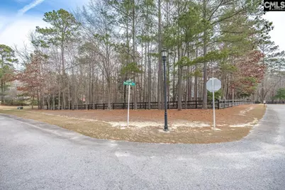 113 Soft Stone Drive, Blythewood, SC 29016 - Photo 10