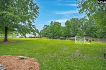 408 Gallatin Circle, Irmo, SC 29063 - Photo 38