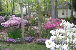 209 Kings Creek Rd, Irmo, SC 29063 - Photo 20