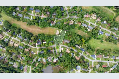 436 White Falls Drive, Columbia, SC 29212 - Photo 6