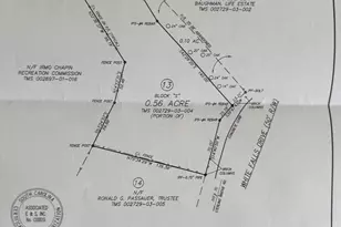 436 White Falls Dr, Columbia, SC 29212 - Photo 2