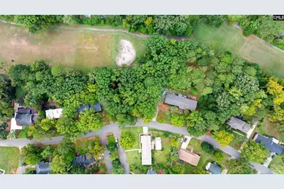 436 White Falls Drive, Columbia, SC 29212 - Photo 4