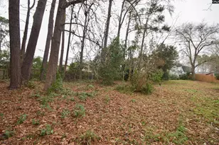 509 Thyme Dr, Lexington, SC 29073 - Photo 32