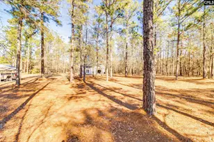 1335 Hwy 21, Swansea, SC 29160 - Photo 40