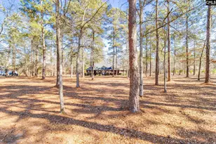 1335 Hwy 21, Swansea, SC 29160 - Photo 4