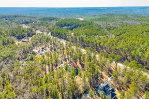 1335 Hwy 21, Swansea, SC 29160 - Photo 52