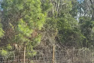 901 Old Bluff Rd, Hopkins, SC 29061 - Photo 12