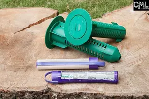 165 Dew Blossom Dr, Lexington, SC 29073 - Photo 30