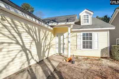 115 Merowey Court, Chapin, SC 29036 - Photo 2