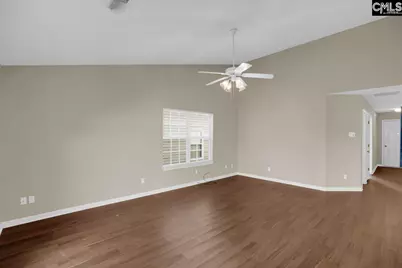 115 Merowey Court, Chapin, SC 29036 - Photo 12