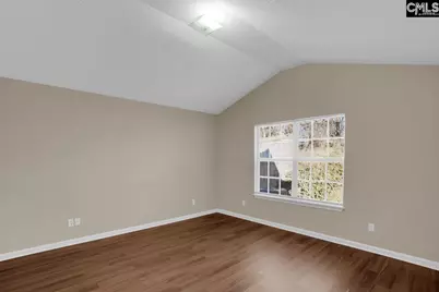 115 Merowey Court, Chapin, SC 29036 - Photo 14