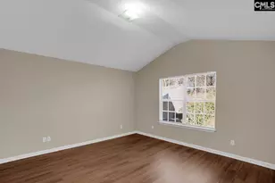 115 Merowey Ct, Chapin, SC 29036 - Photo 14