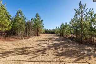 747 Old Stagecoach Rd, Camden, SC 29020 - Photo 14