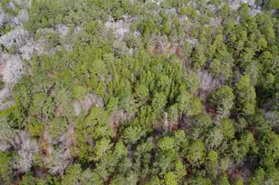 46 Timberline Dr, Camden, SC 29020 - Photo 2