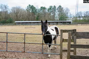 6 Running Fawn Ct, Hopkins, SC 29061 - Photo 36