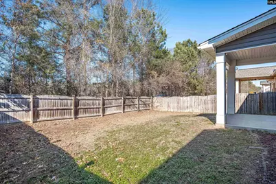 151 Ventnor Avenue, Chapin, SC 29036 - Photo 42