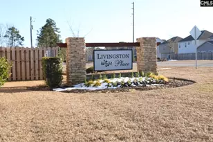 1005 Old Town Rd, Irmo, SC 29063 - Photo 2