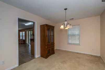 392 Eagle Pointe Drive, Chapin, SC 29036 - Photo 10