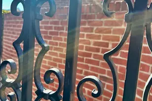 201 White Birch Cir, Columbia, SC 29223 - Photo 50