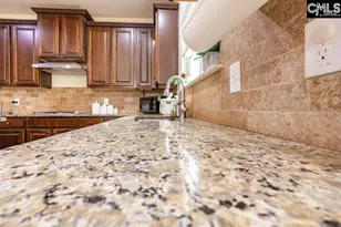 449 Reedy River Ct, Lexington, SC 29073 - Photo 16