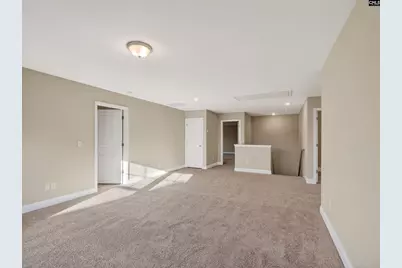 334 Murray Falls Lane, Chapin, SC 29036 - Photo 30