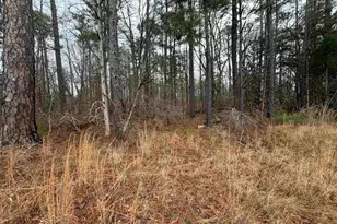 0 Saint Phillips Church Rd, Prosperity, SC 29127 - Photo 1