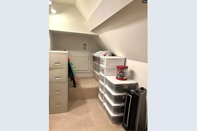 336 White Birch Circle, Columbia, SC 29223 - Photo 26