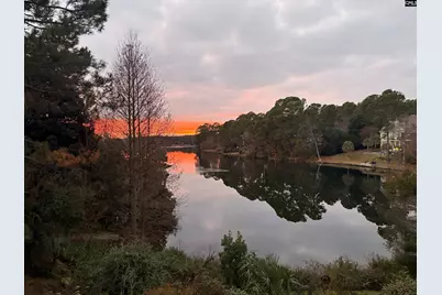 310 Aiken Hunt Circle, Columbia, SC 29223 - Photo 66