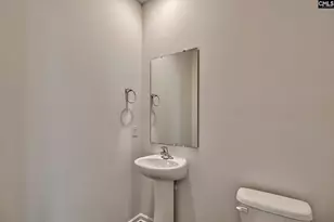 622 Autumn Shiloh Dr, Chapin, SC 29036 - Photo 24