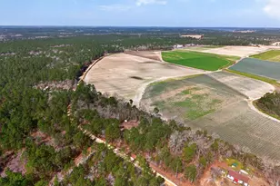 0 Rimrock Rd, Gilbert, SC 29054 - Photo 2