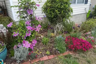 1017 Aderley Oak Dr, Irmo, SC 29063 - Photo 48