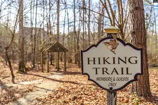 205 Chestnut Wren Rd, Blythewood, SC 29016 - Photo 52