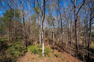 6 Gidding Ct, Irmo, SC 29063 - Photo 16