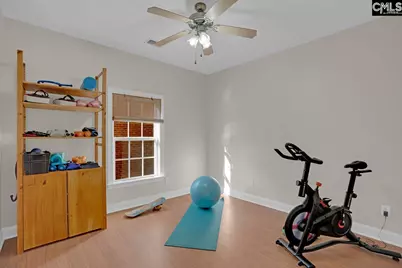 180 Palm Street, Chapin, SC 29036 - Photo 32