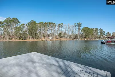 180 Palm Street, Chapin, SC 29036 - Photo 4