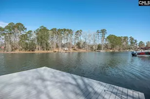 180 Palm St, Chapin, SC 29036 - Photo 4