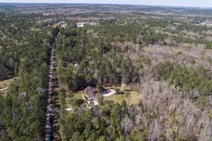 141 Eagle Chase Ct, Chapin, SC 29036 - Photo 26