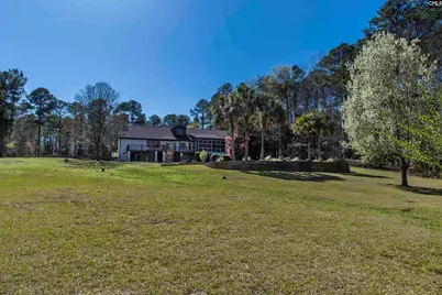 141 Eagle Chase Court, Chapin, SC 29036 - Photo 14