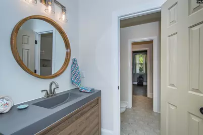 141 Eagle Chase Court, Chapin, SC 29036 - Photo 62