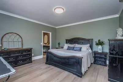 141 Eagle Chase Court, Chapin, SC 29036 - Photo 54