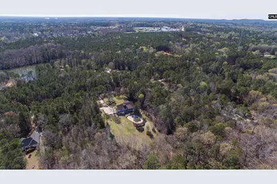 141 Eagle Chase Court, Chapin, SC 29036 - Photo 24