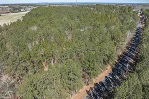 0 Windy Rd, Gilbert, SC 29054 - Photo 16