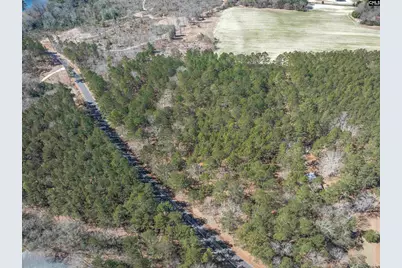 0 Windy Road, Gilbert, SC 29054 - Photo 10